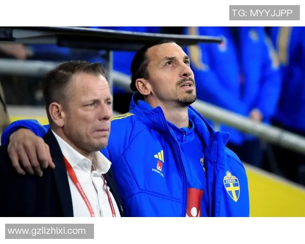 瑞典足球明星盘点从伊布到新星的辉煌历程与成就