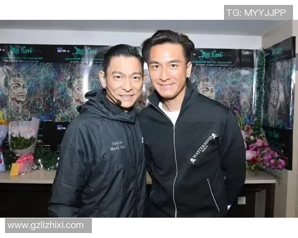 刘德华与足球明星粉丝群体对比分析及其影响力探讨